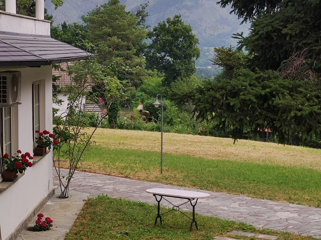 B&B Caterina.c主图