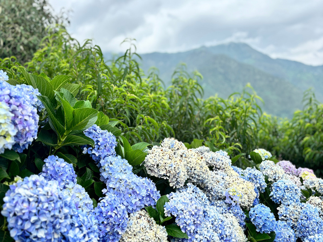 Seclude Ramgarh Willows主图