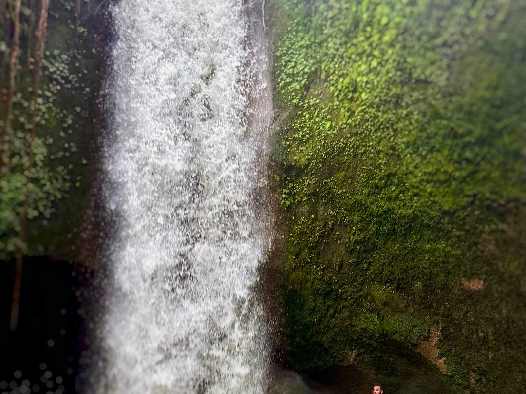 Authentic Walking Tours-乌布必去景点