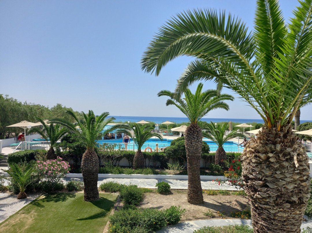 Kouros Seasight主图