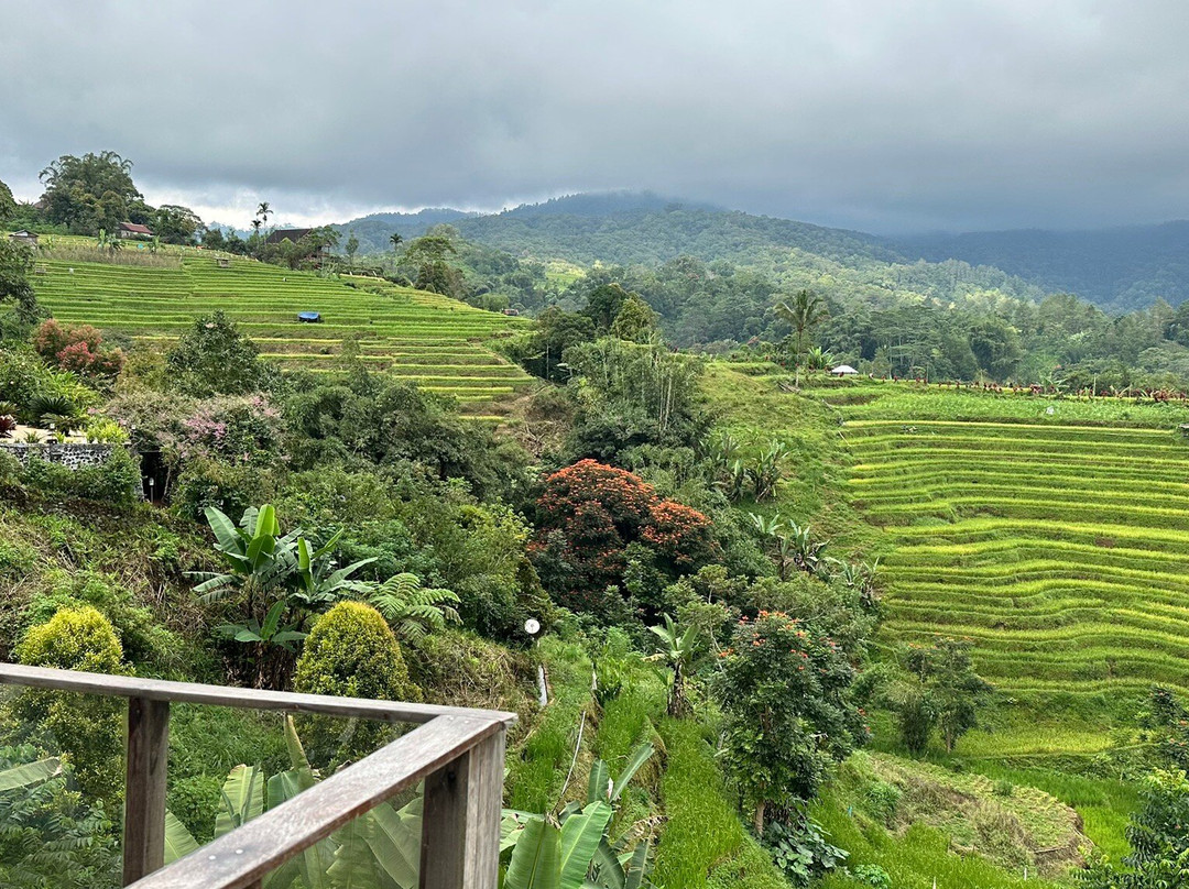Rumah Tengah Sawah Malino