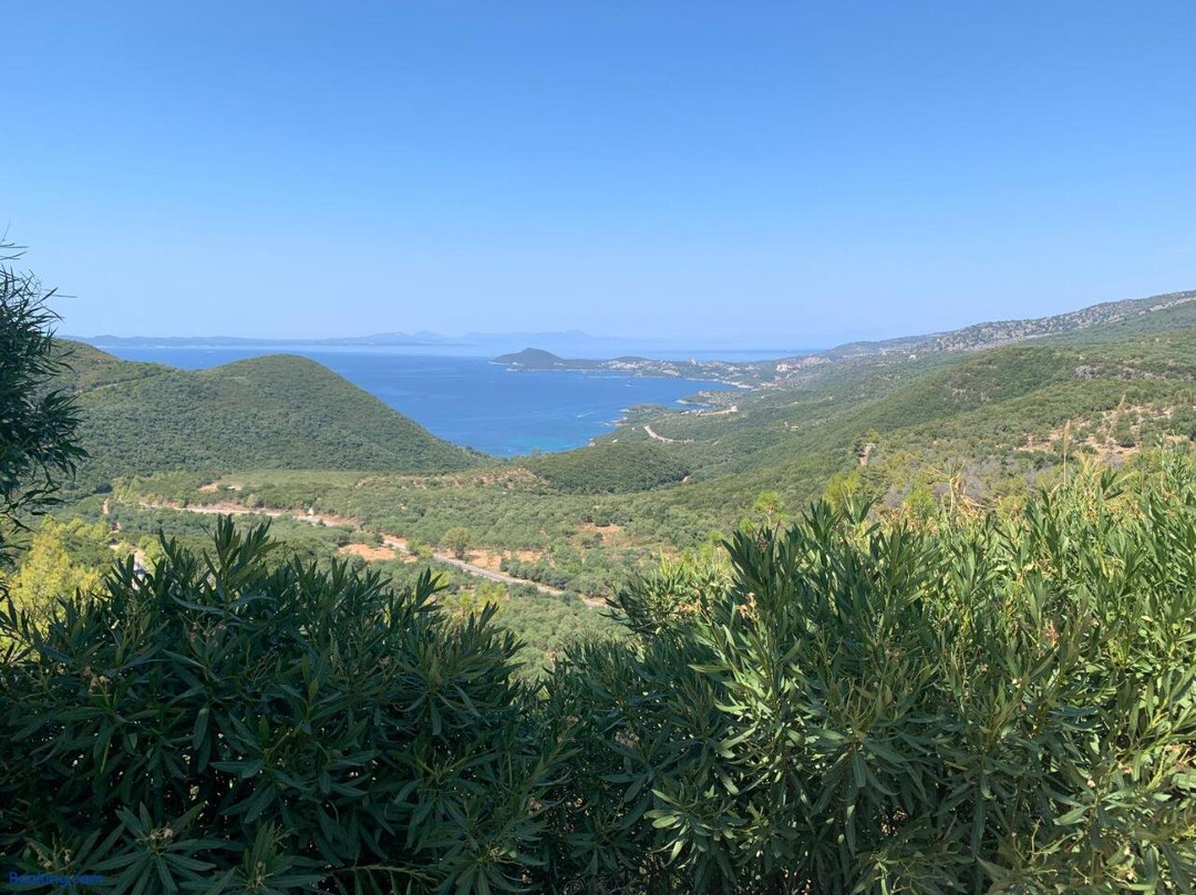 Ballas Panagiotis BallasStudios