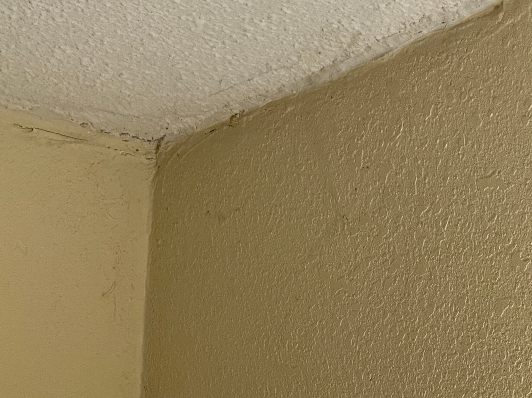 Quality Inn Gallipolis主图