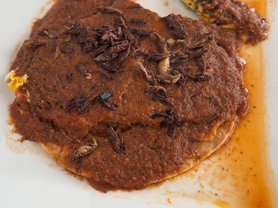 帕拉西奥博尔盖塞主图