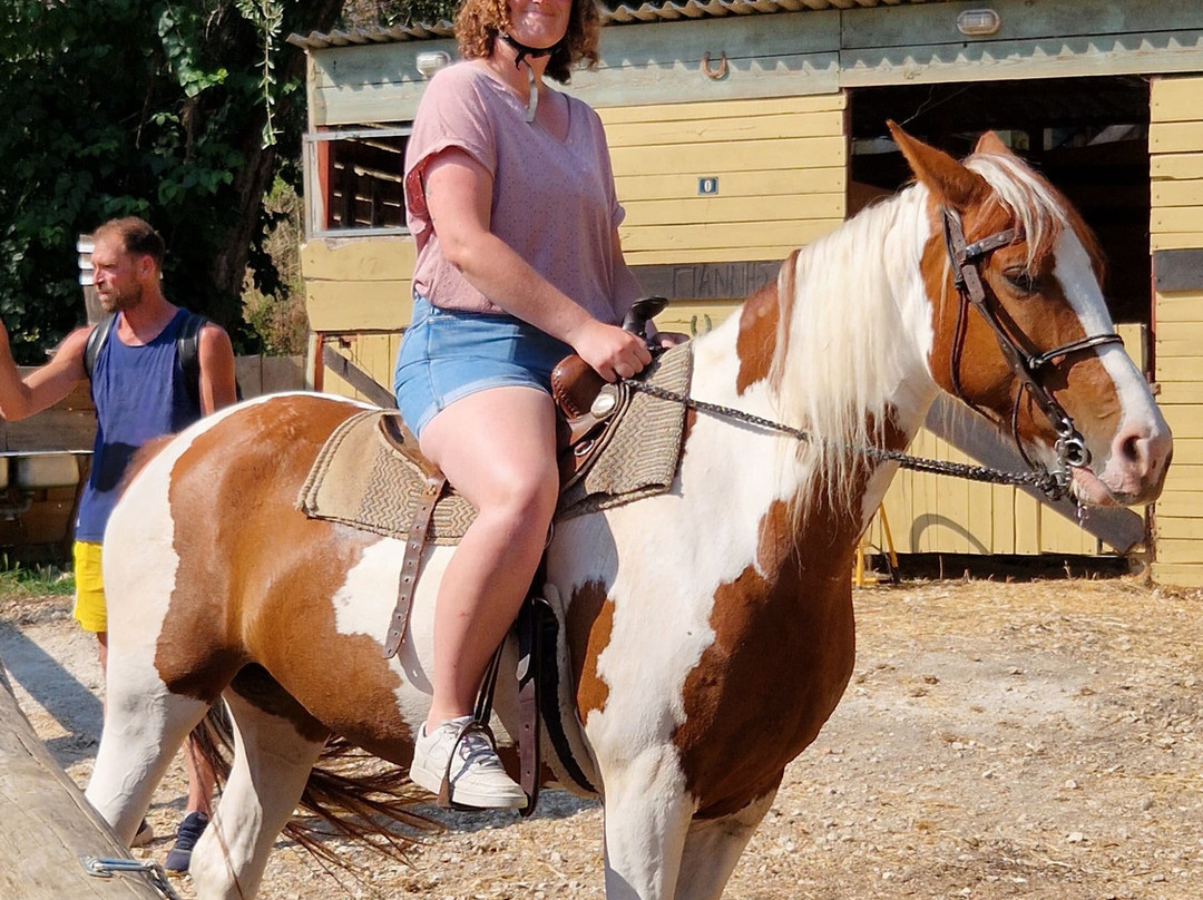 North Corfu Horses-Peritheia必去景点