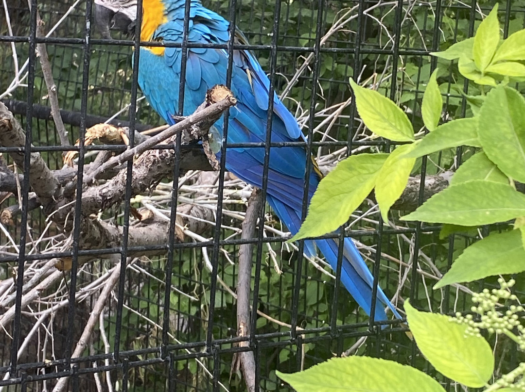 Idaho Falls Zoo-爱达荷福尔斯必去景点