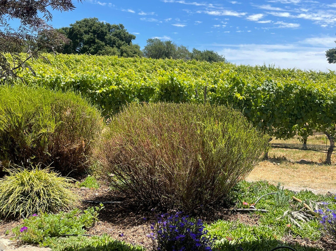 Merry Edwards Winery-Sebastopol必去景点