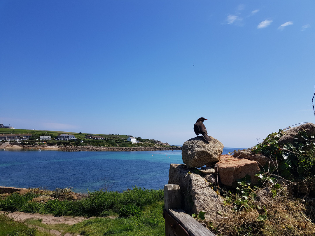 St Mary's Old Town Church