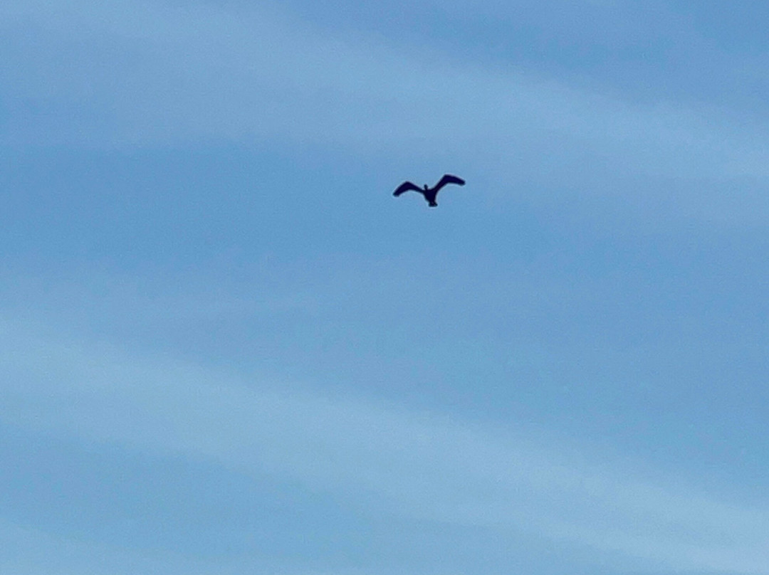 Connecticut Watersports-New Milford必去景点