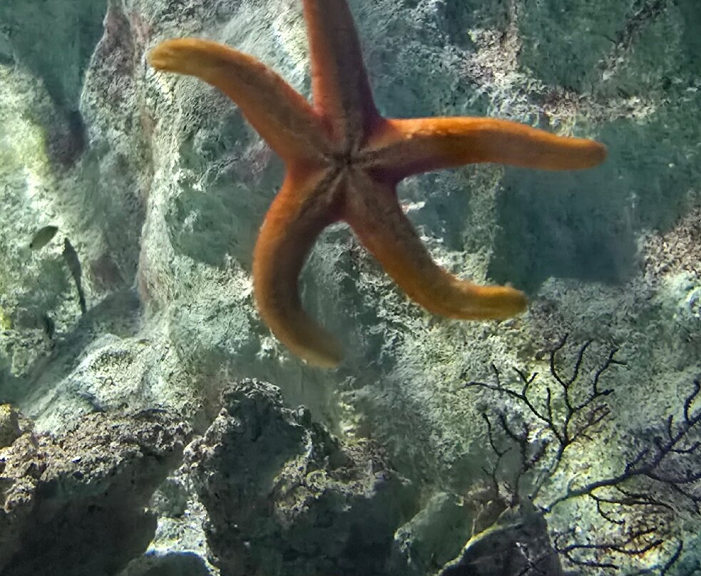 Aquarium de Lyon-La Mulatiere必去景点
