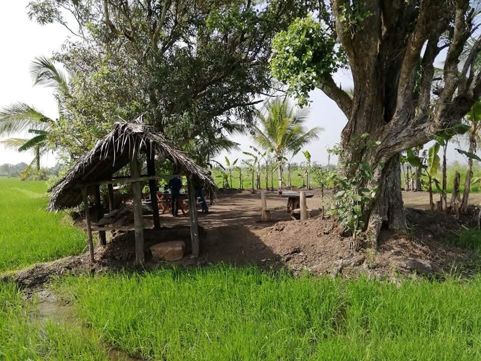 Harshana Tours-坎达拉马必去景点