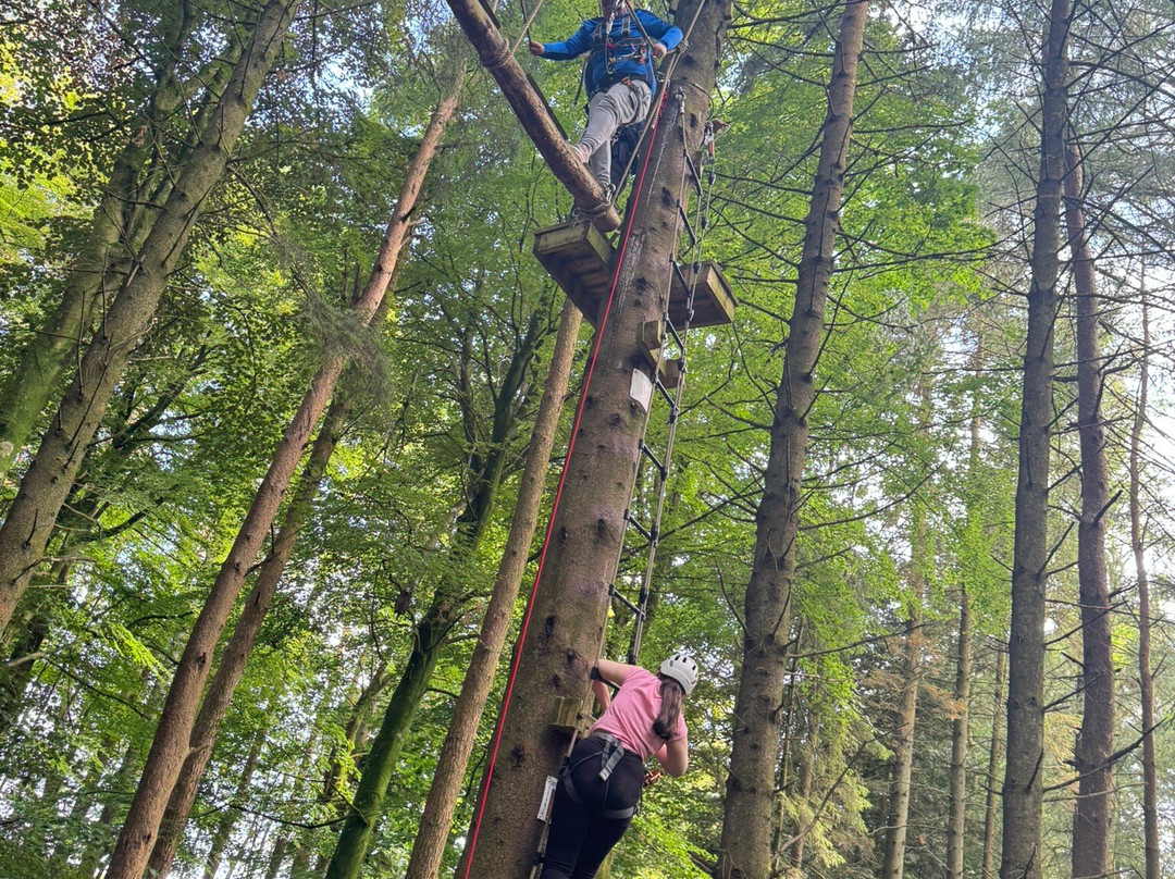 Craufurdland Tree Top Trials and Activities-Kilmarnock必去景点