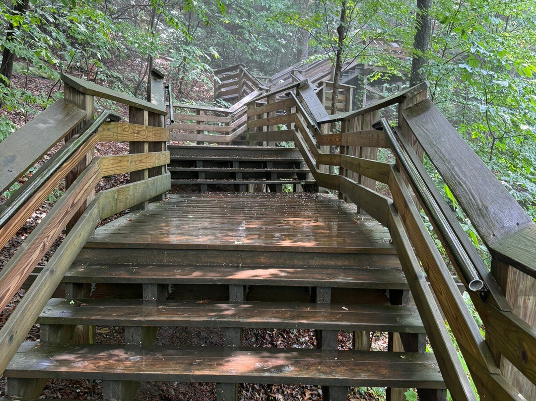 Canyon Rim Visitor Center-Lansing必去景点