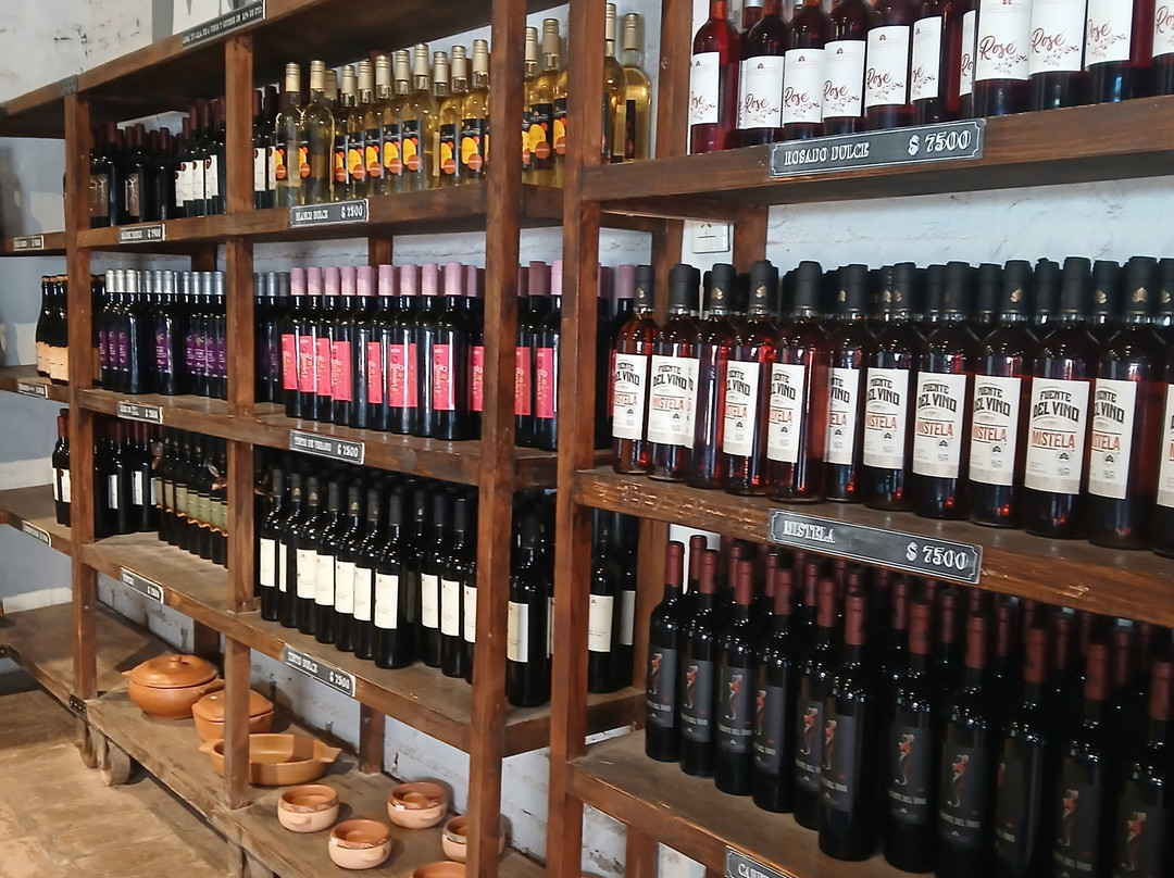 Bodega Labiano-圣拉斐尔必去景点