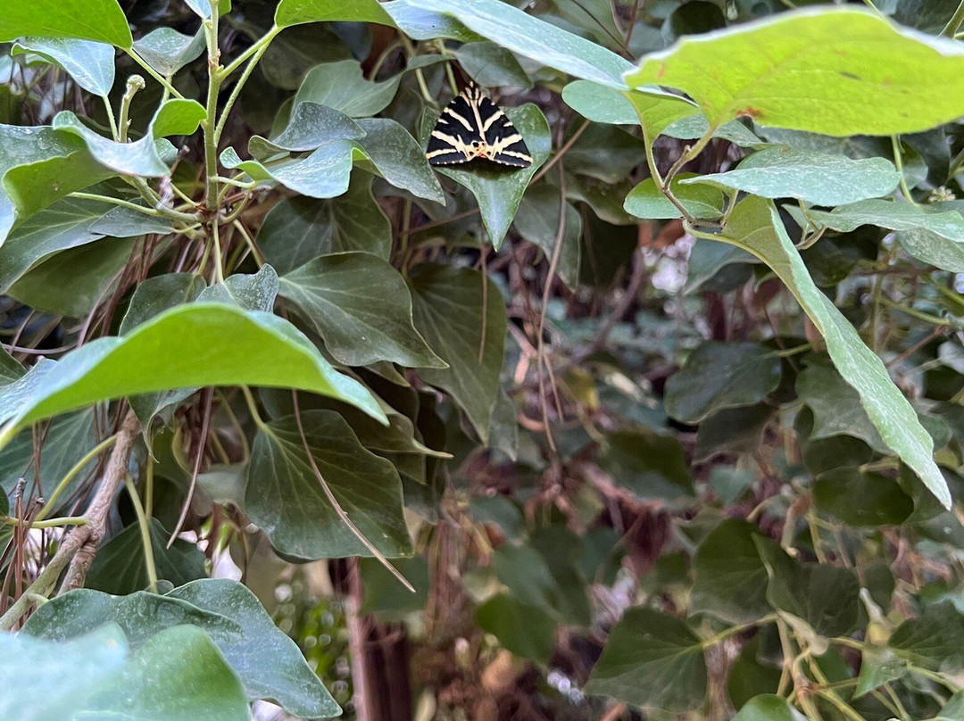 Butterflies Nature Reserve-帕罗斯岛必去景点