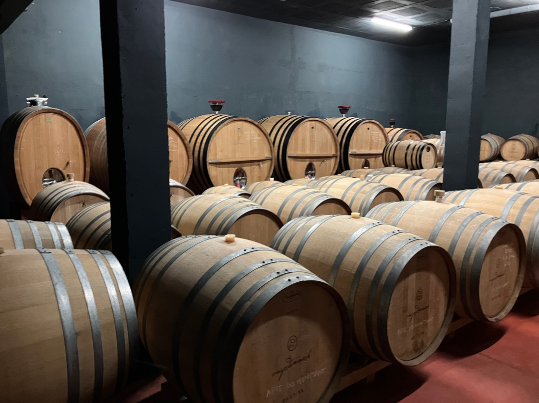 Vinyes Domènech-Capcanes必去景点