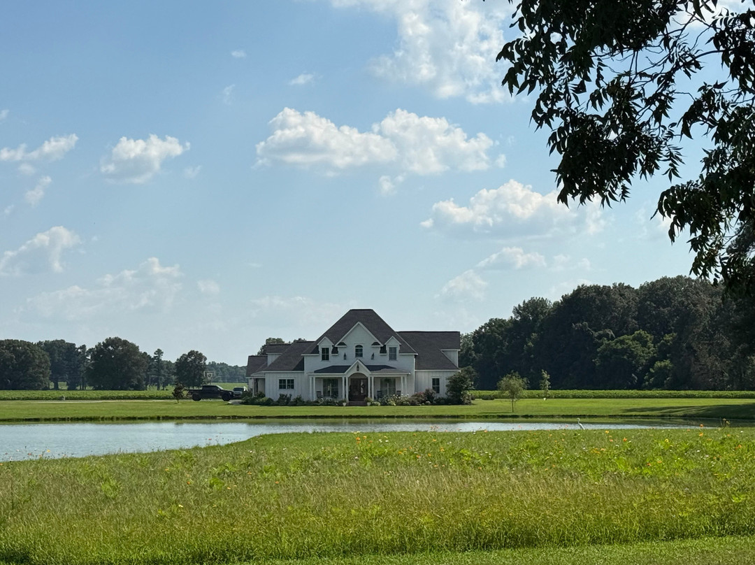 Century Farm Winery-Jackson必去景点