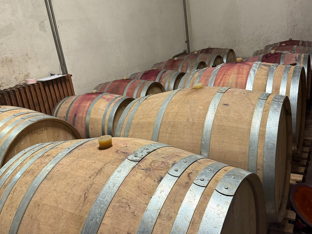 Wine Uncovered-Sablet必去景点