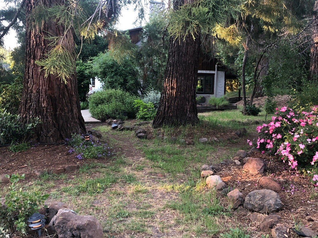 Yosemite Rose Bed & Breakfast主图