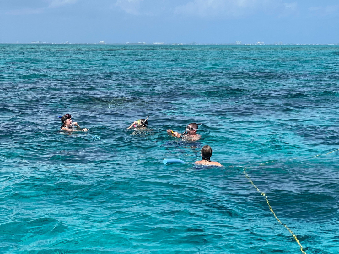 Blue Haven Charters-Rum Point必去景点