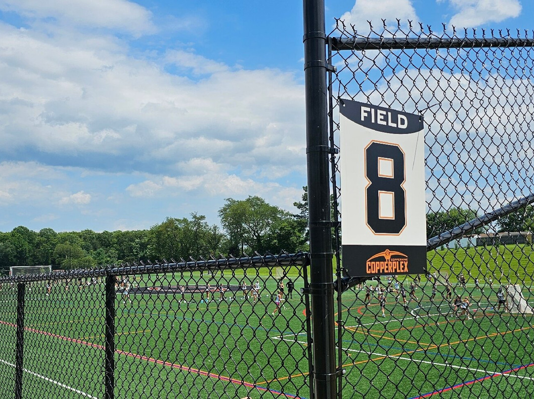 Copperplex-Edgewood必去景点