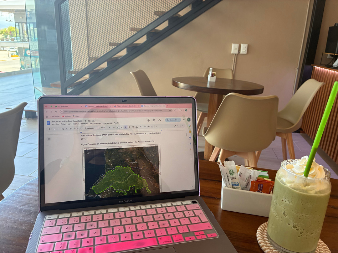 Asael Diaz Repostería