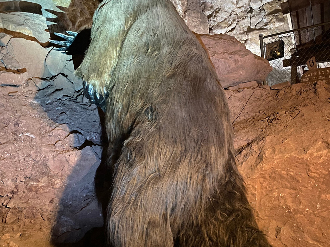 Grand Canyon Caverns Tours-皮奇斯普林斯必去景点