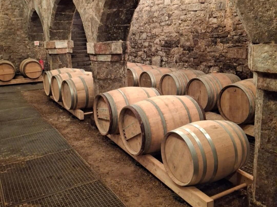 Luyck Urban Winery-列日必去景点