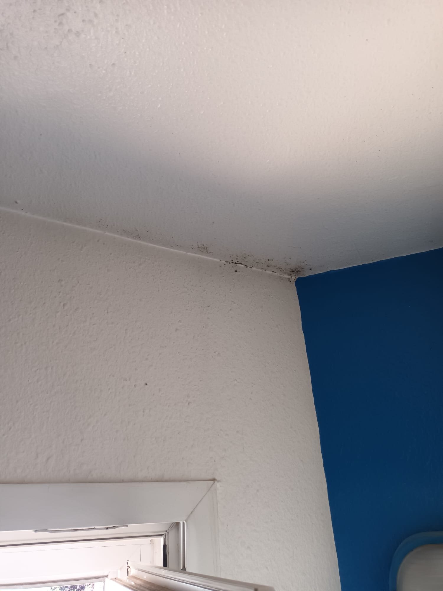 阿可娜麦孔苏德酒店-官方