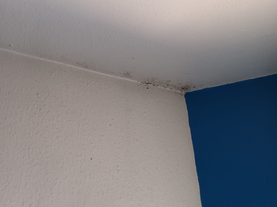 阿可娜麦孔苏德酒店主图