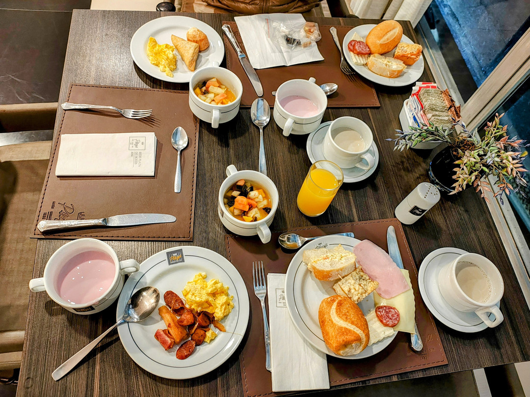 Hotel Plaza Blumenau主图