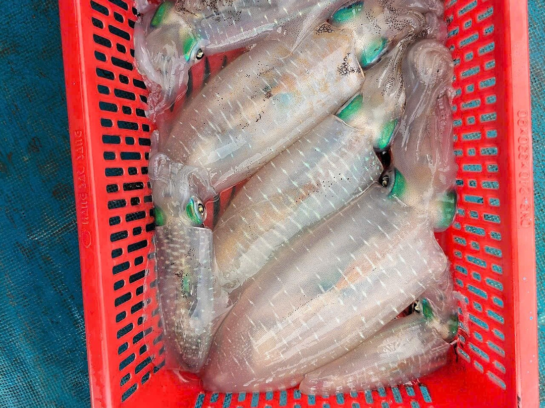 FishingFeel-岘港必去景点