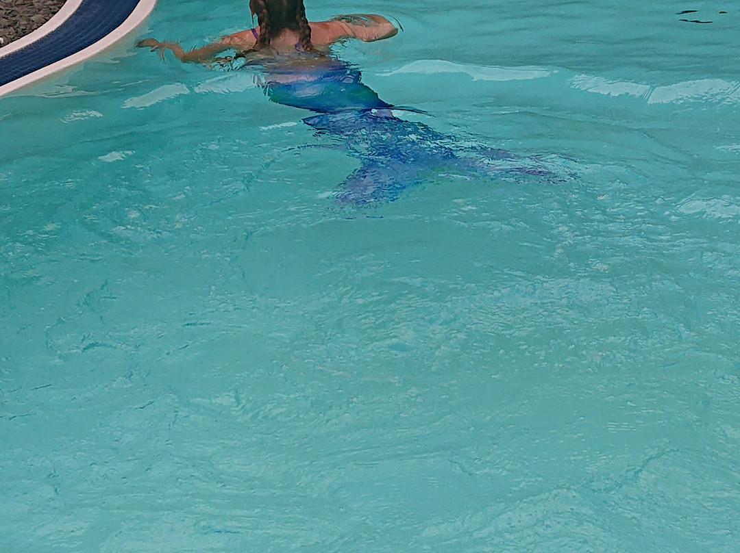 Landhotel Grimmeblick主图