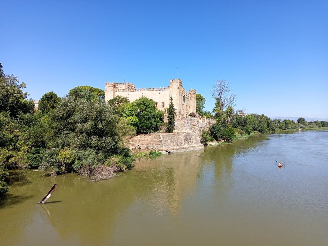 Castillo de Malpica-Malpica de Tajo必去景点