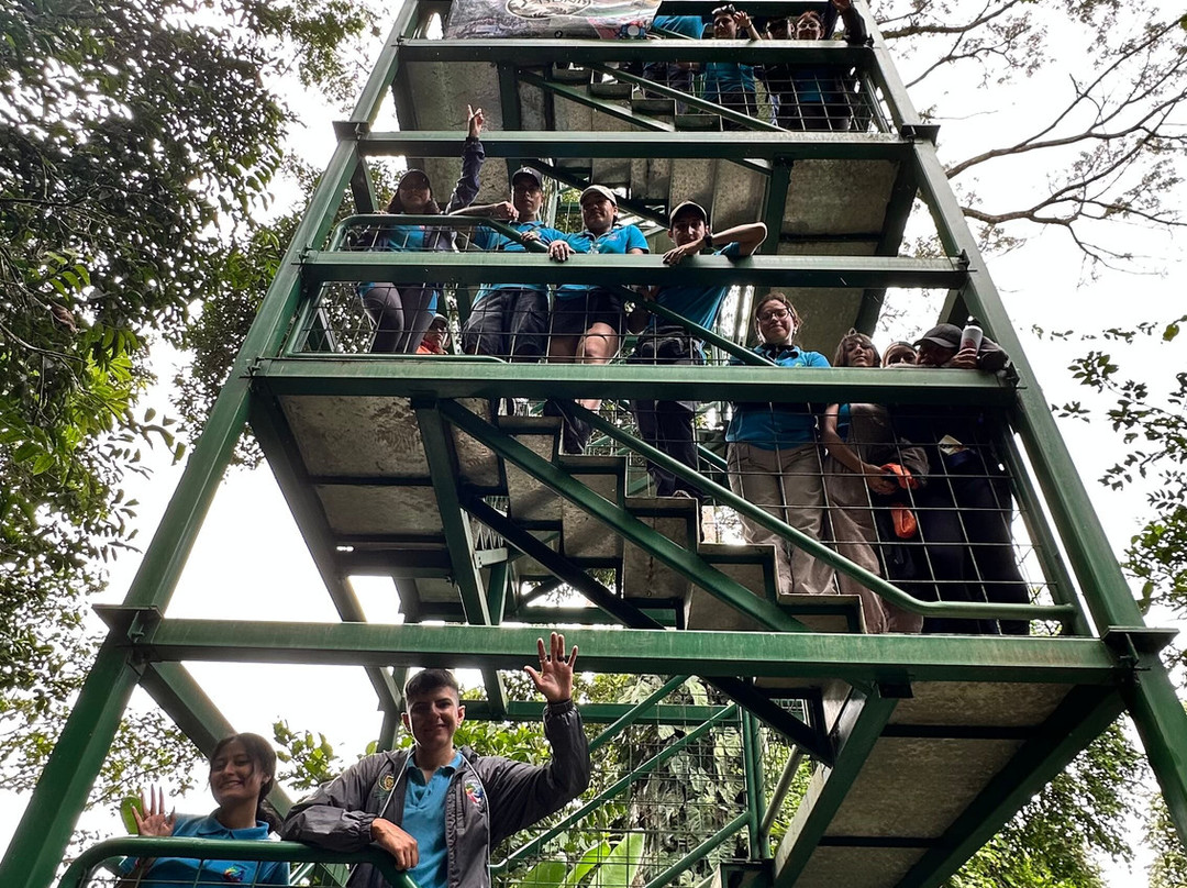 Torre De Yasuní - Añangu-Coca必去景点