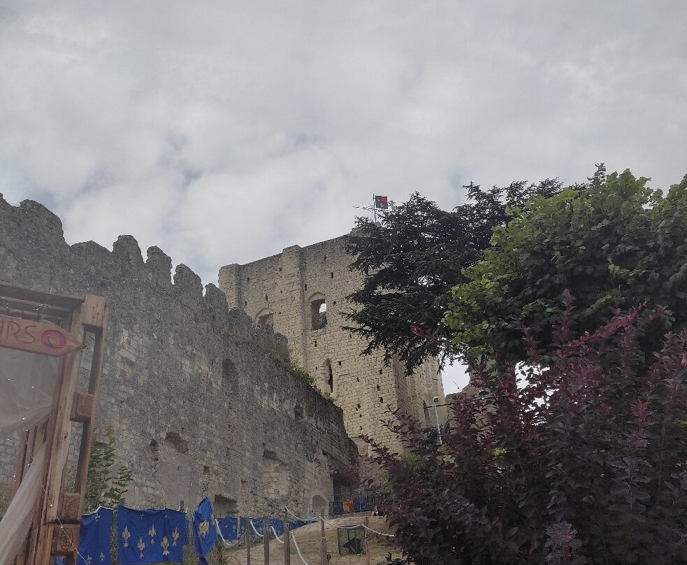 Donjon de Montrichard-Montrichard必去景点