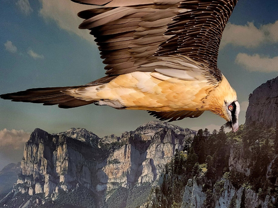 Eco Museo-Centro de Visitantes-艾因萨必去景点