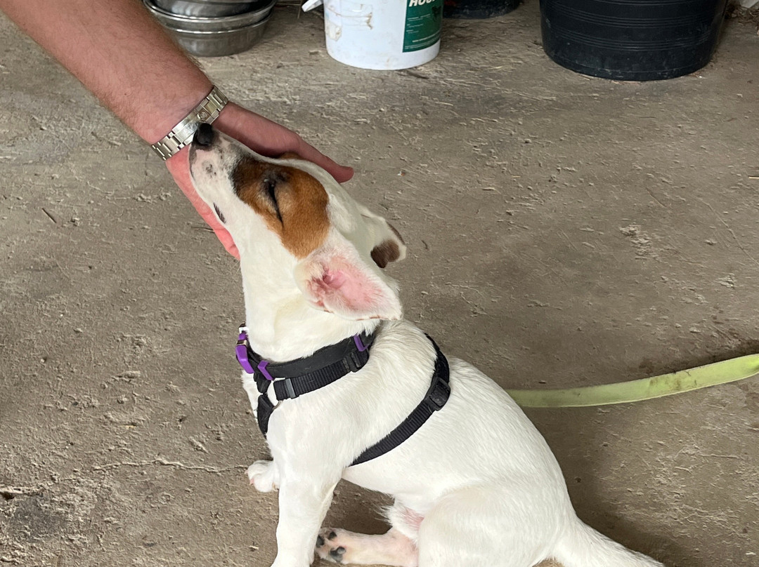 Hua Hin Horse Club-Nong Kae必去景点