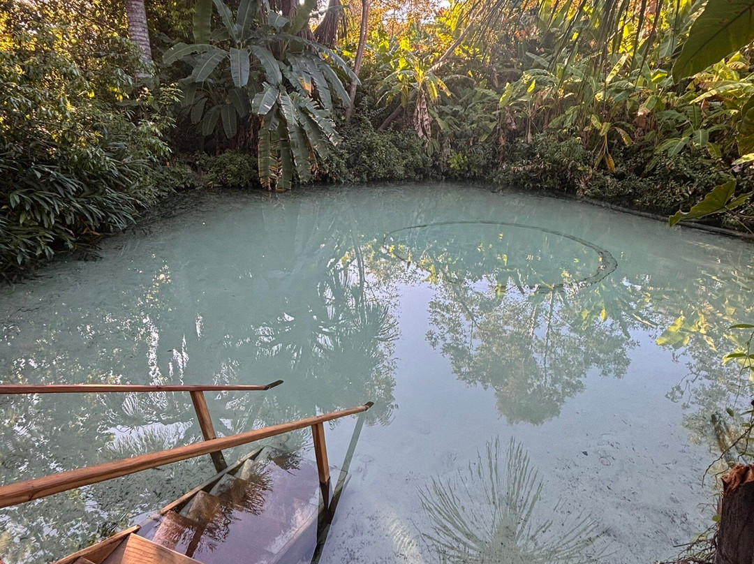 Fervedouro Do Alecrim-Sao Felix do Tocantins必去景点