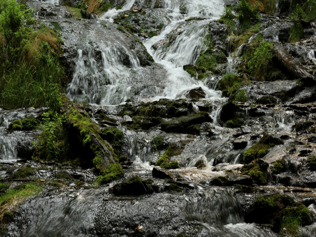 Dunnings Spring Park-迪科拉必去景点