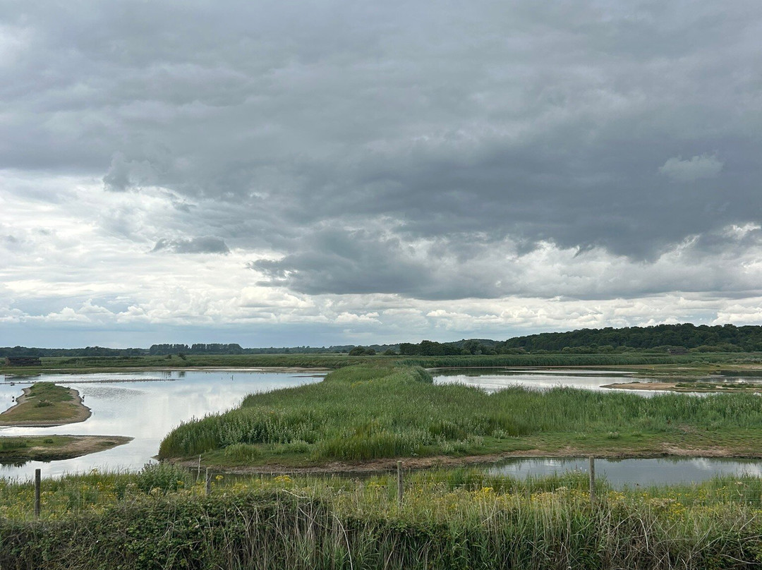 RSPB Minsmere-Westleton必去景点