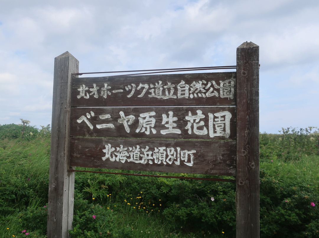 Veneer Nature Flower Garden-滨顿别町必去景点