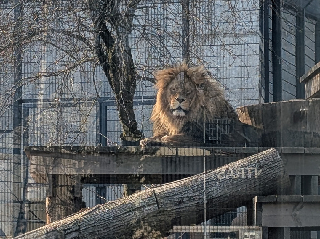 Zoopark Kaunas-考那斯必去景点