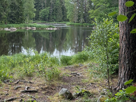 Färnebofjärden Nationalpark-Gysinge必去景点