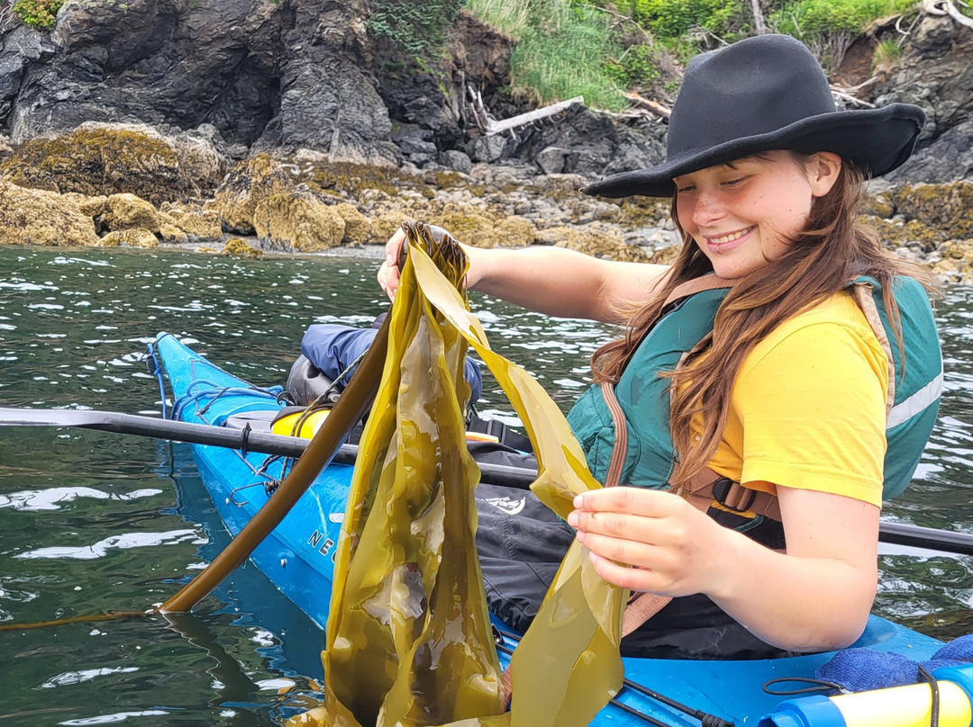 True North Kayak Adventures-荷马必去景点