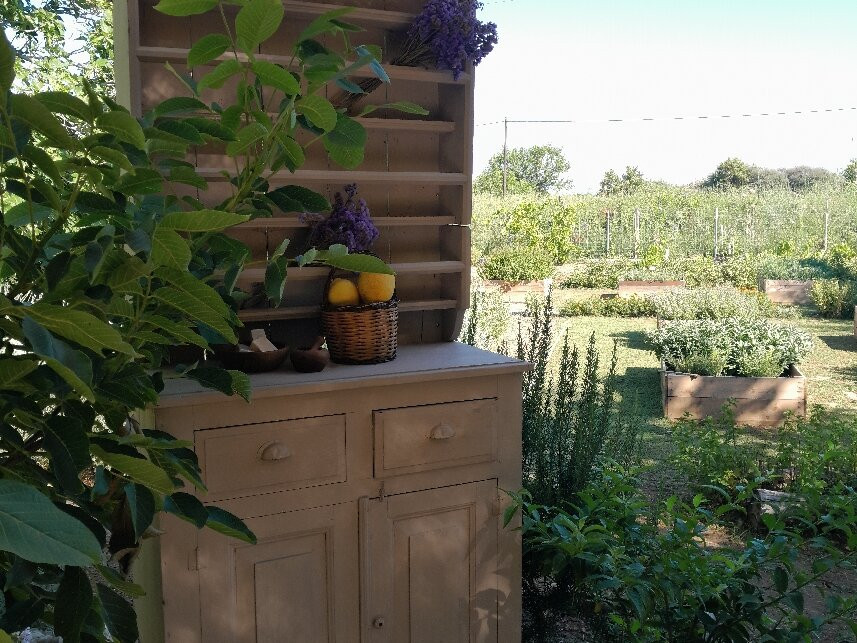 The Garden By Olive Benefits-Karlovasi必去景点