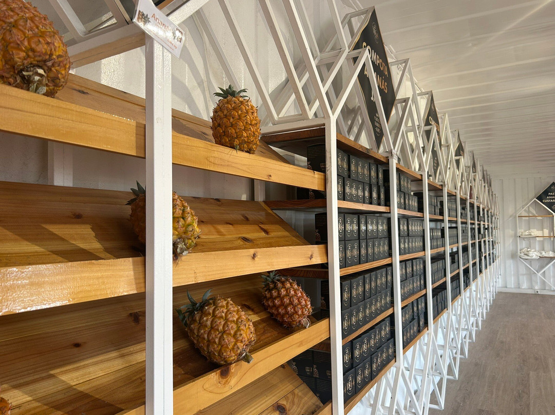 Plantação de Ananás dos Açores-蓬塔德尔加达必去景点