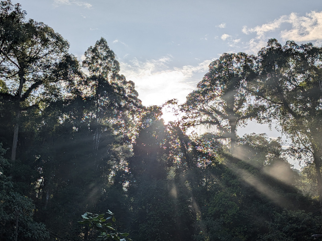 1StopBorneo Wildlife-斗湖必去景点