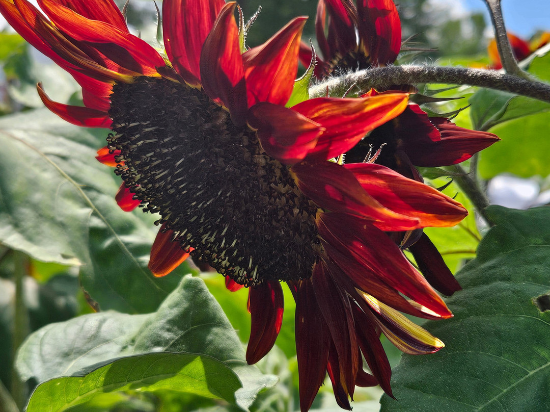 Coppal House Farm-Lee必去景点