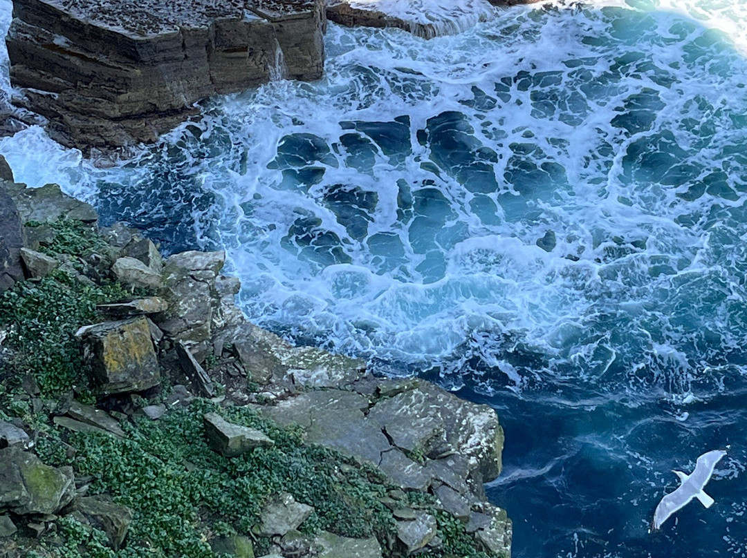 Brough Of Birsay-Birsay必去景点